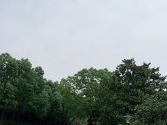 -黄兴公园
