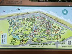-上海滨江森林公园