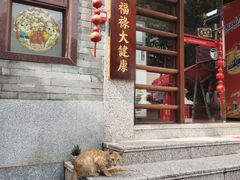 -广州神农草堂中医药博物馆