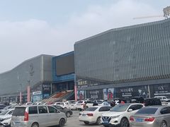 -肃宁华斯国际裘皮城