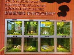 -芸山季·云南野生菌火锅(宝能环球汇店)