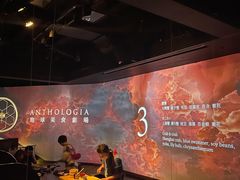 -地球美食剧场