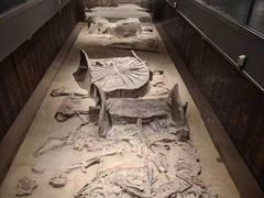 -北京大葆台遗址博物馆