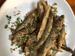 -全乐鱼馆·淳牌有机鱼直营店