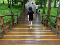 -黄海国家森林公园