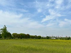 -嘉北郊野公园