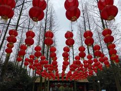 -东平国家森林公园