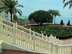 -晶荷轩(香港迪士尼乐园酒店)