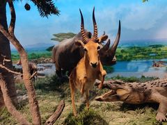 -国家自然博物馆