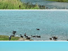 -呼和诺尔旅游景区