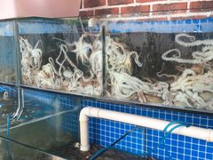 水产区-蟹谢蒸鲜自助餐厅