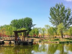 -东郊湿地公园