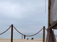 -精酿农场Brew Farm·沙漠绿洲餐厅