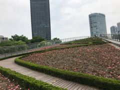 -上海港国际客运中心
