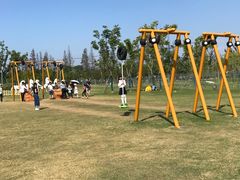 -上海长兴岛郊野公园