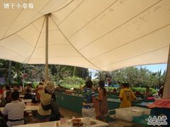 环境-蜈支洲岛珊瑚酒店临海阁中餐厅
