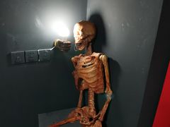 -百川·追风楼沉浸式剧本杀