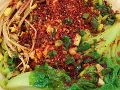 -老陈婆手工面庄