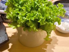 -梦味精致日本料理(新地假日广场店)