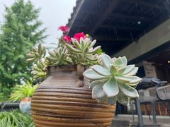 -古堰画乡景区