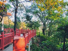 -南国桃园旅游度假区