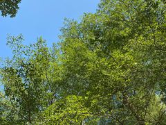 -南丰汇(新港东路店)