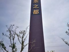 -茯茶镇