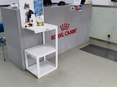 -美美宠物诊疗中心·异宠·骨科(滨江东信分院)