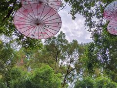 -广州市白云山风景名胜区