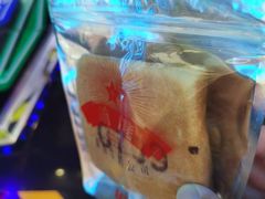 -红星前进面包牛奶公司(五道口购物中心店)