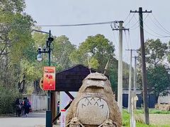 -嘉北郊野公园