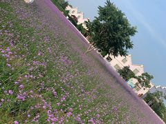 -渔岛海洋度假区