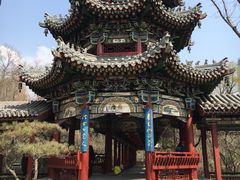 -迎泽公园