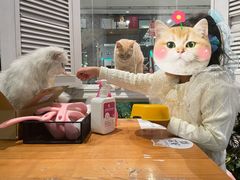 -猫小院猫主题餐厅(三里屯店)