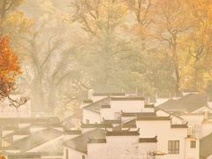 -塔川景区