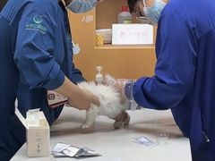 -联合动物医院(光谷诊疗中心)