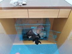 -美联众合动物医院(·中兽医·疑难杂症·严家桥分院)