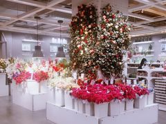 -宜家家居(哈尔滨商场店)