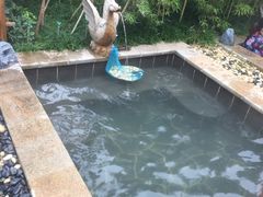 -郑州银基黄帝宫御温泉