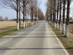 -嘉北郊野公园