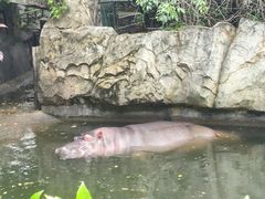 -宁波野生动物园