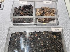 -北京中医药大学-中医药博物馆
