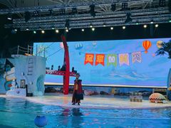 -三亚海昌梦幻海洋不夜城