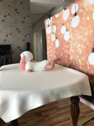 -DeerFriend童趣主题上门拍·到家·外拍摄影机构 (国贸店)
