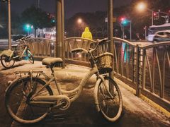 -上海动物园(地铁站)