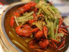 -红盔甲·小龙虾(天钥桥店)