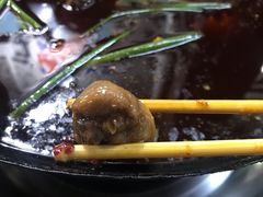 -石灰市毛记烧鸡公(解放碑店)
