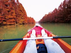 -上海海湾国家森林公园