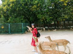 -北京麋鹿生态实验中心