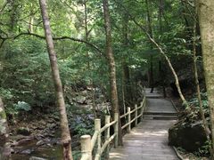 -江西阳明山国家森林公园